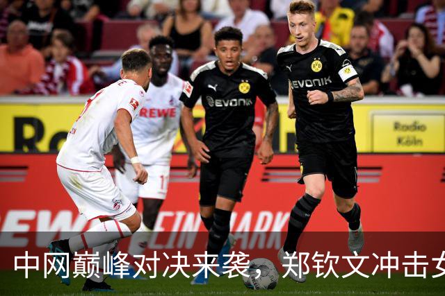 中网巅峰对决来袭，郑钦文冲击女单桂冠！